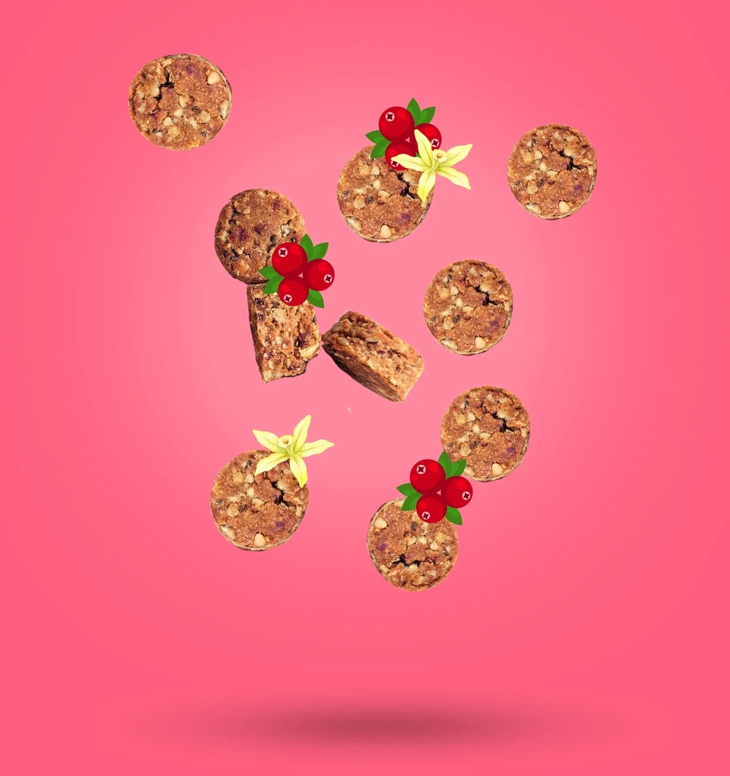 Seed Nibbles | Cranberry Vanilla