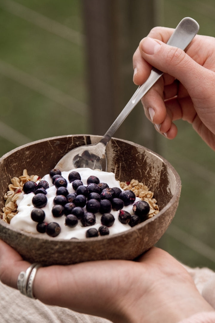 Freeze Dried Organic Blackcurrants 40g