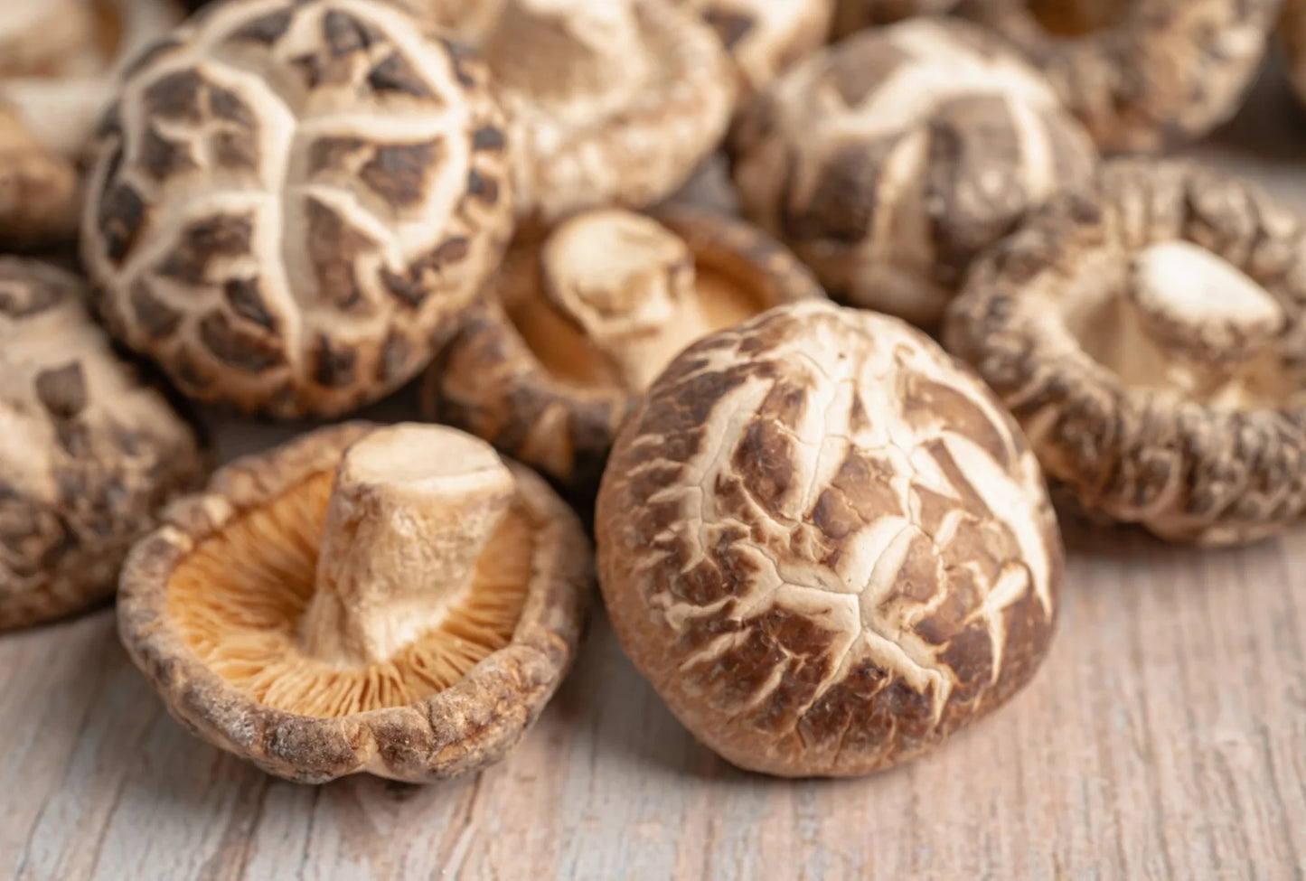 Shiitake Mushroom Chips | Garlic & Herb