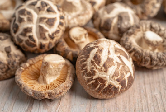 Shiitake Mushroom Chips | Sea Salt